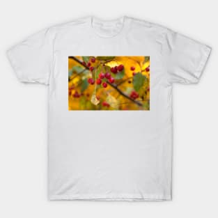 Weeping Crabapple T-Shirt